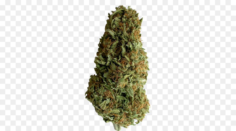 Cogollo De Cannabis，Marijuana PNG