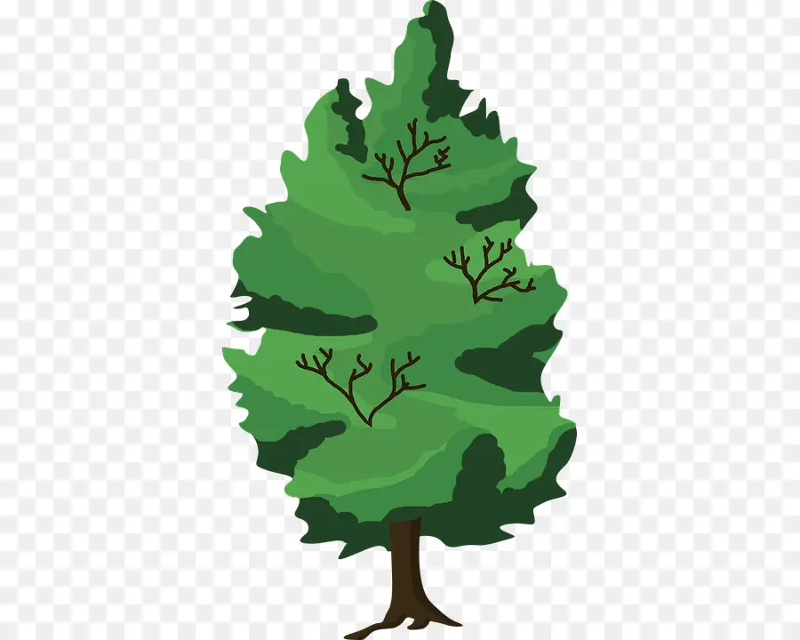 Dibujo，árbol PNG