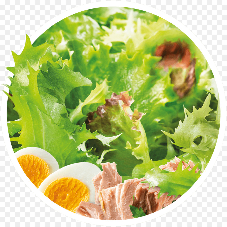 Ensalada César，Cocina Vegetariana PNG