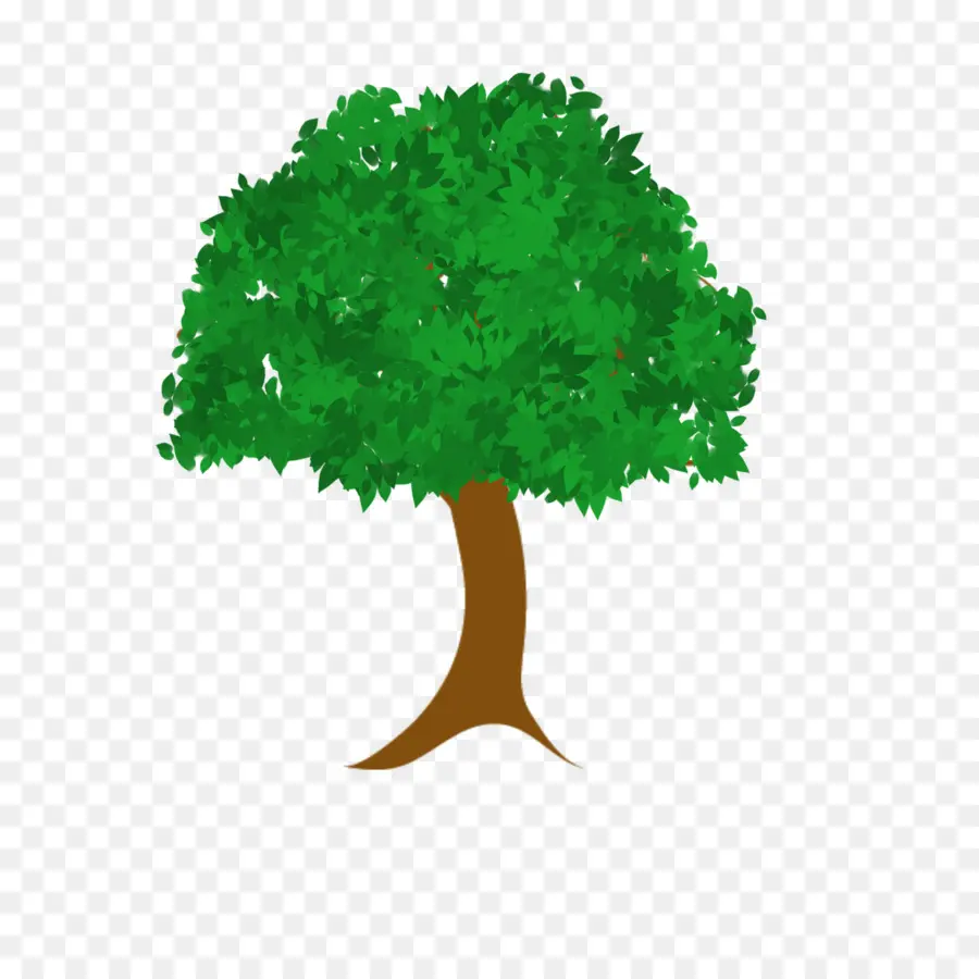 árbol Verde，Bosque PNG