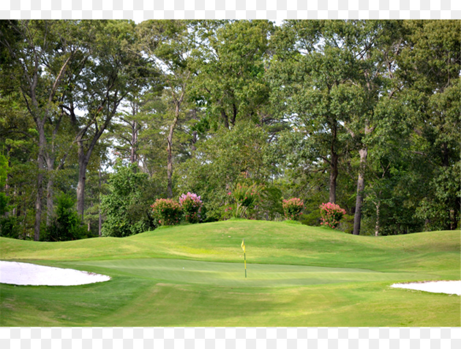 Golf，Campo De Golf PNG