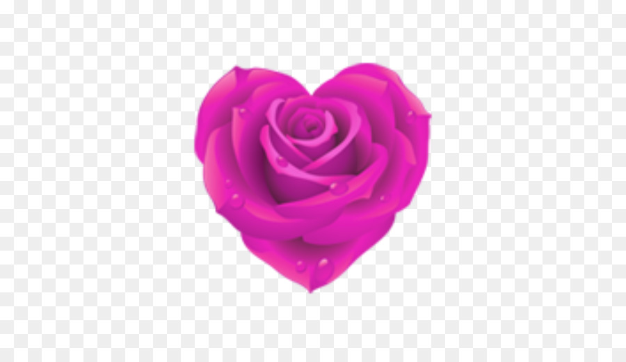 Rosa En Forma De Corazón，Amar PNG