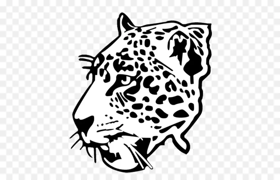 Leopardo，Felino De Gran Tamaño PNG