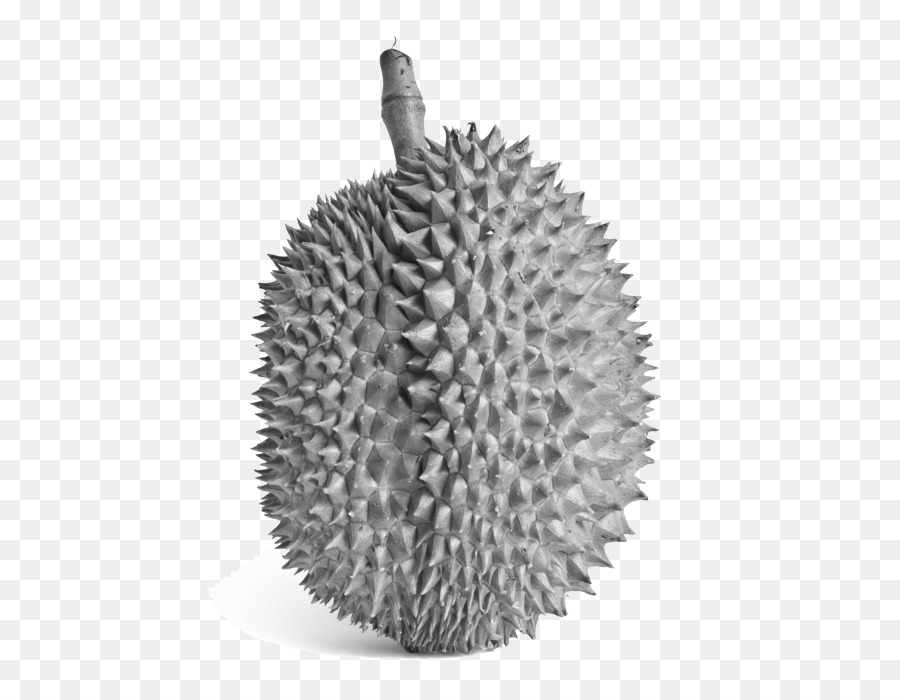 Durian，Fruta PNG