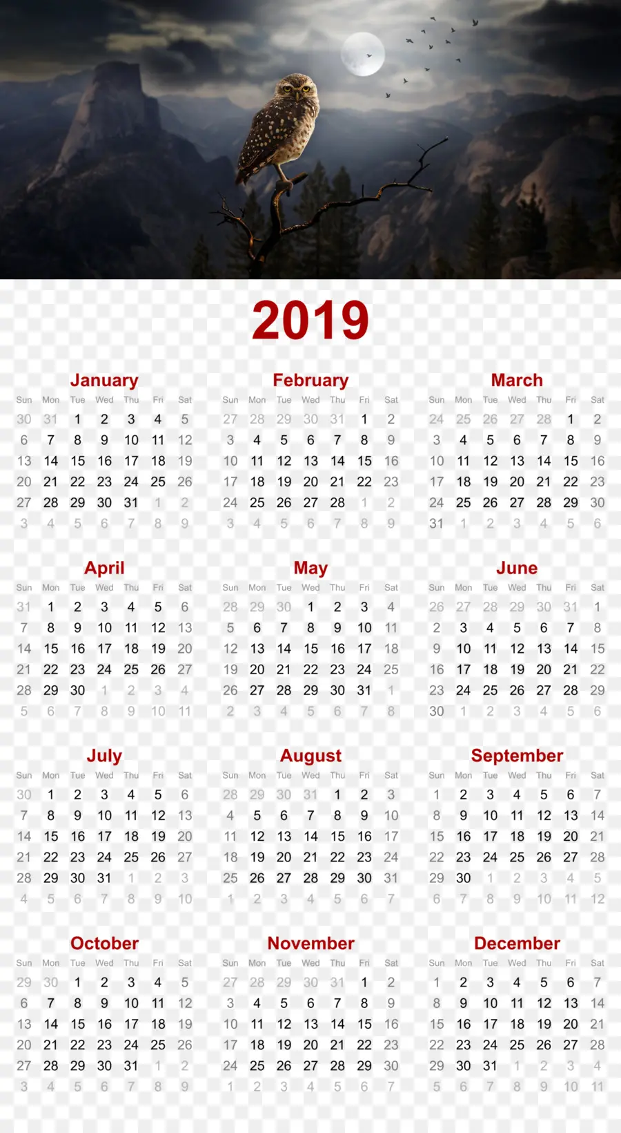 Calendario，2019 PNG