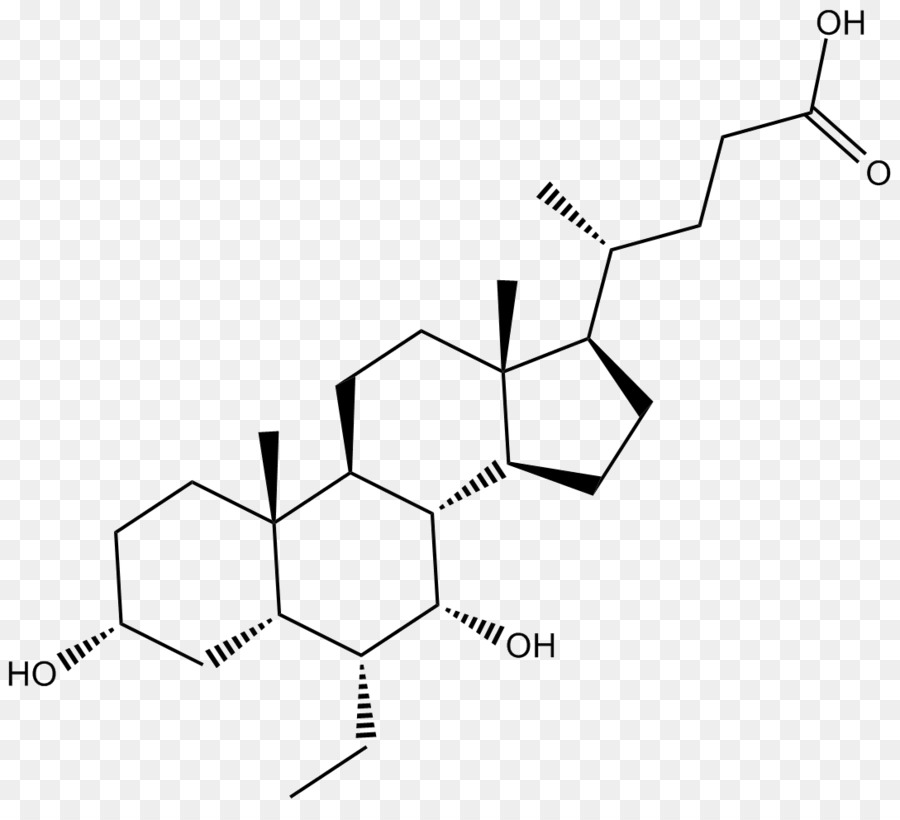 Receptor De Farnesoide X，ácido Obeticólico PNG