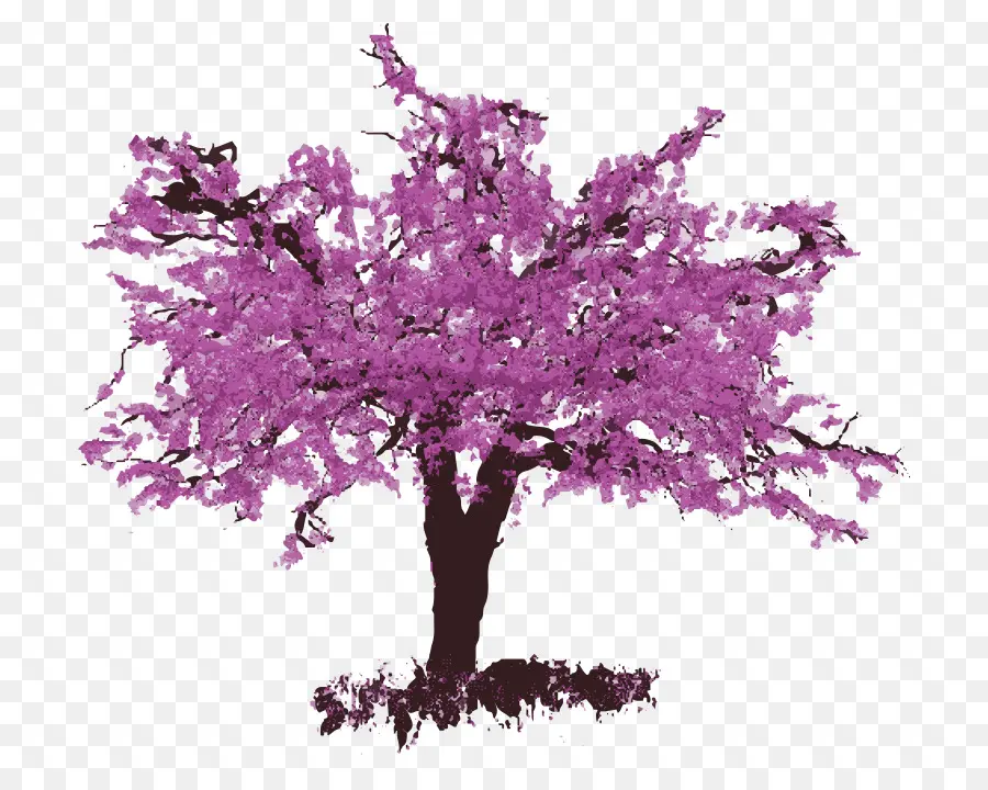 Redbud Del Este，Flor PNG