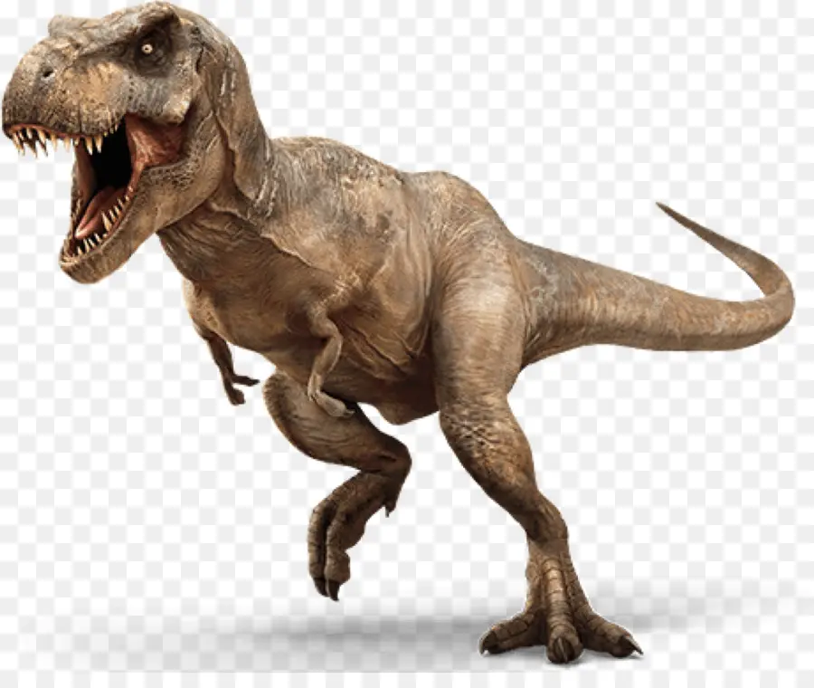 Evolución Del Mundo Jurásico，Jurassic Park El Juego PNG