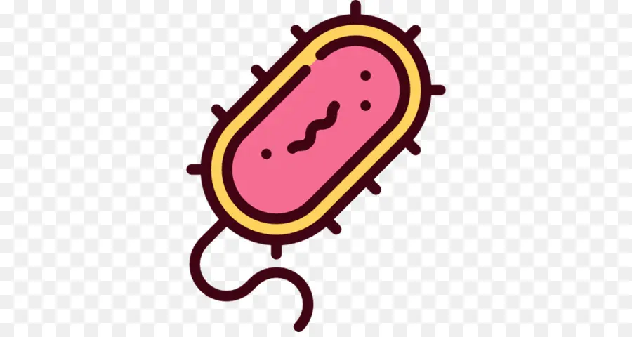 Bacterias，Bacteria Patogénica PNG