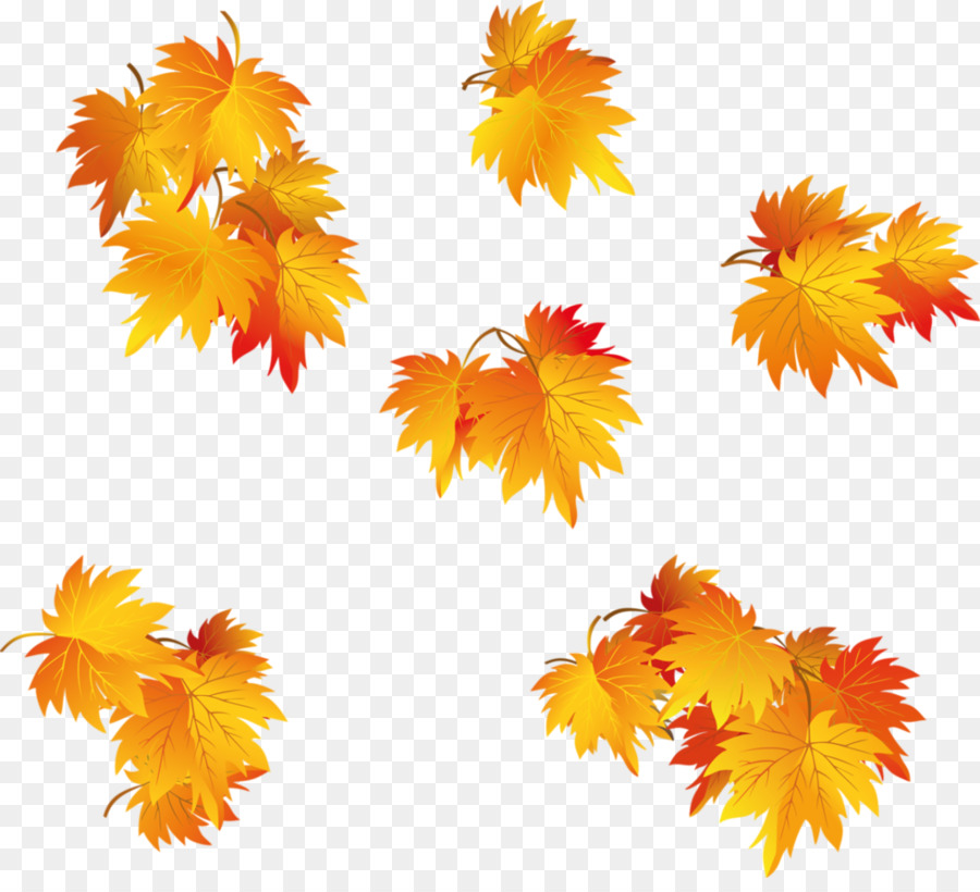 Hojas De Otoño，Caer PNG