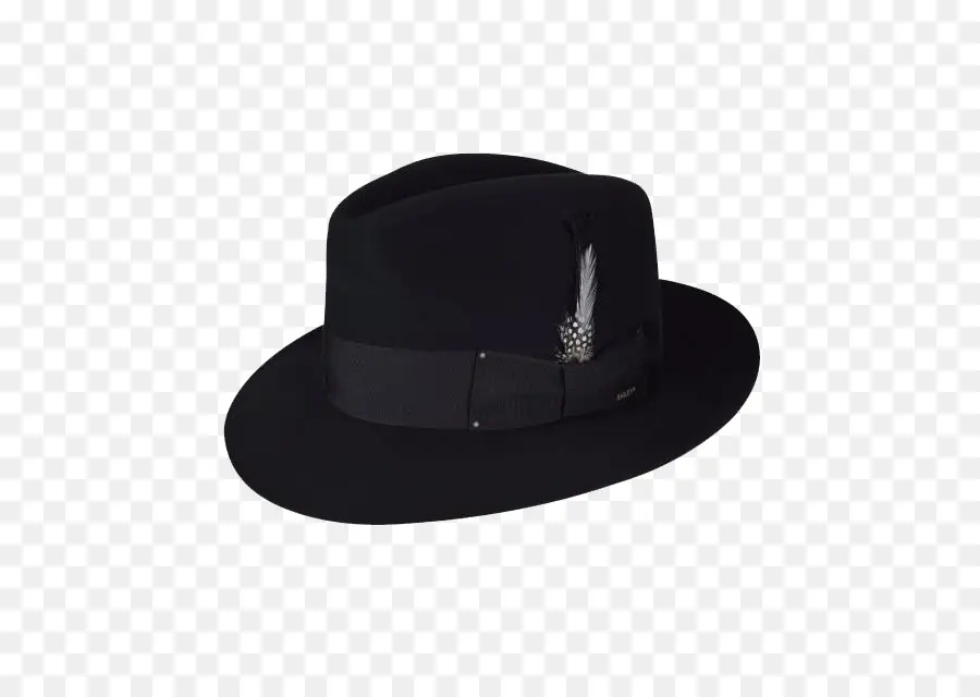 Fedora，Sombrero PNG