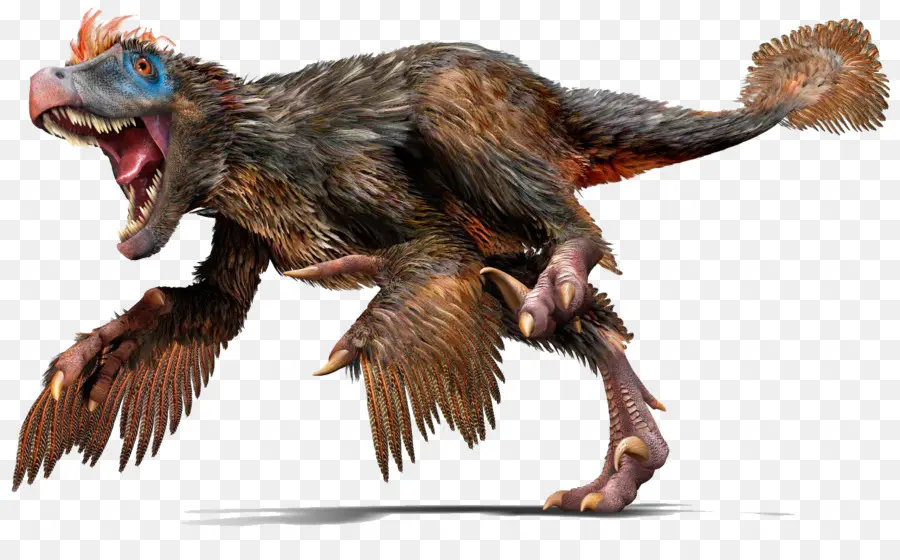 Velociraptor，Aves PNG