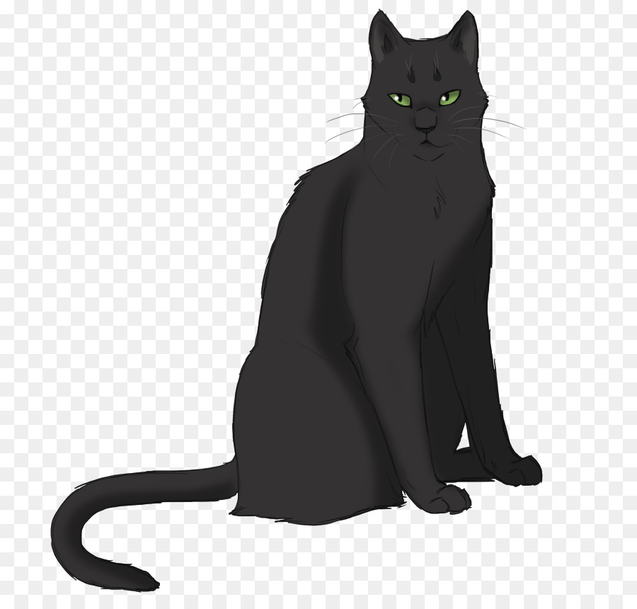 Gato Negro，Guerreros PNG