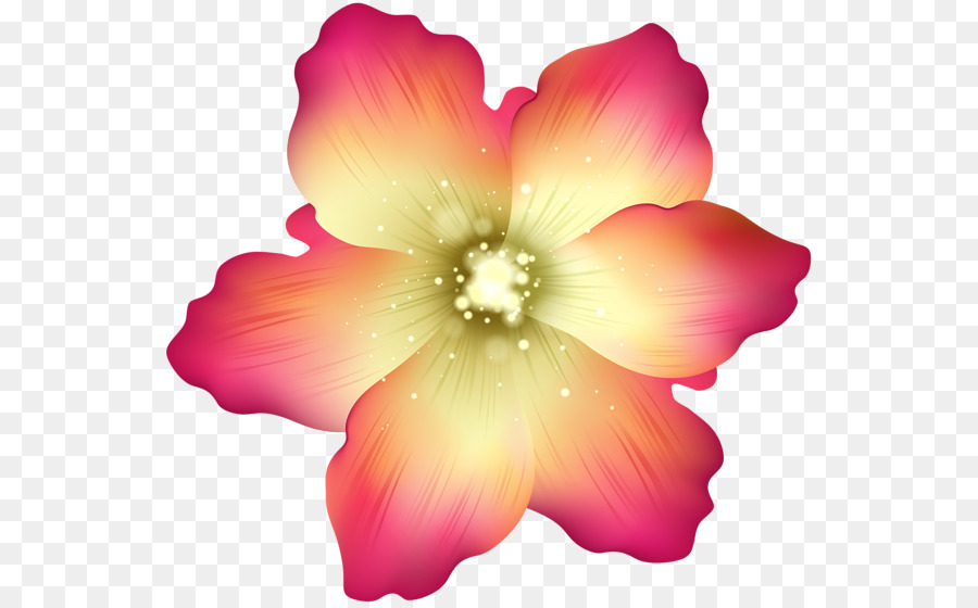 Rosemallows，Flor PNG