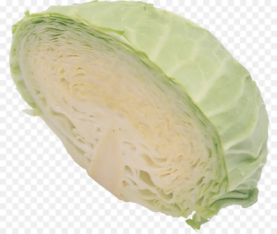 Repollo，Verde PNG