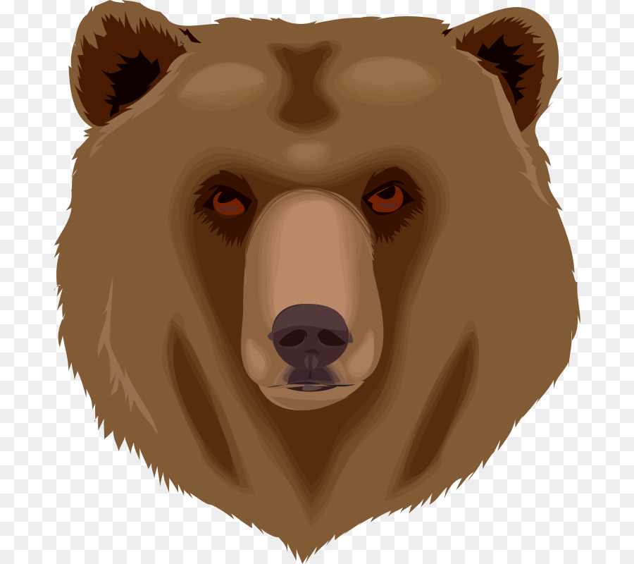 Oso，Grizzly Bear PNG