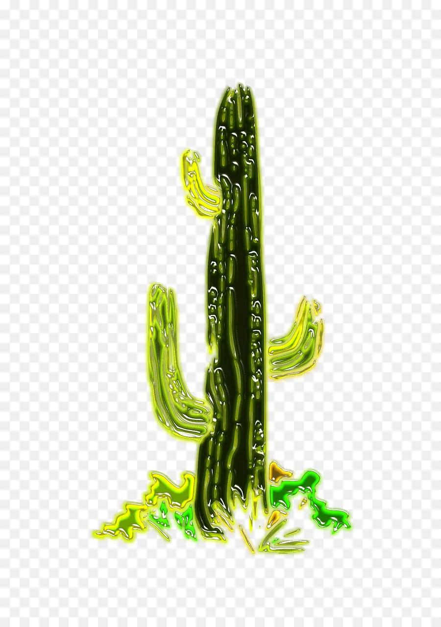 Cactus，Fresa Hedgehog Cactus PNG