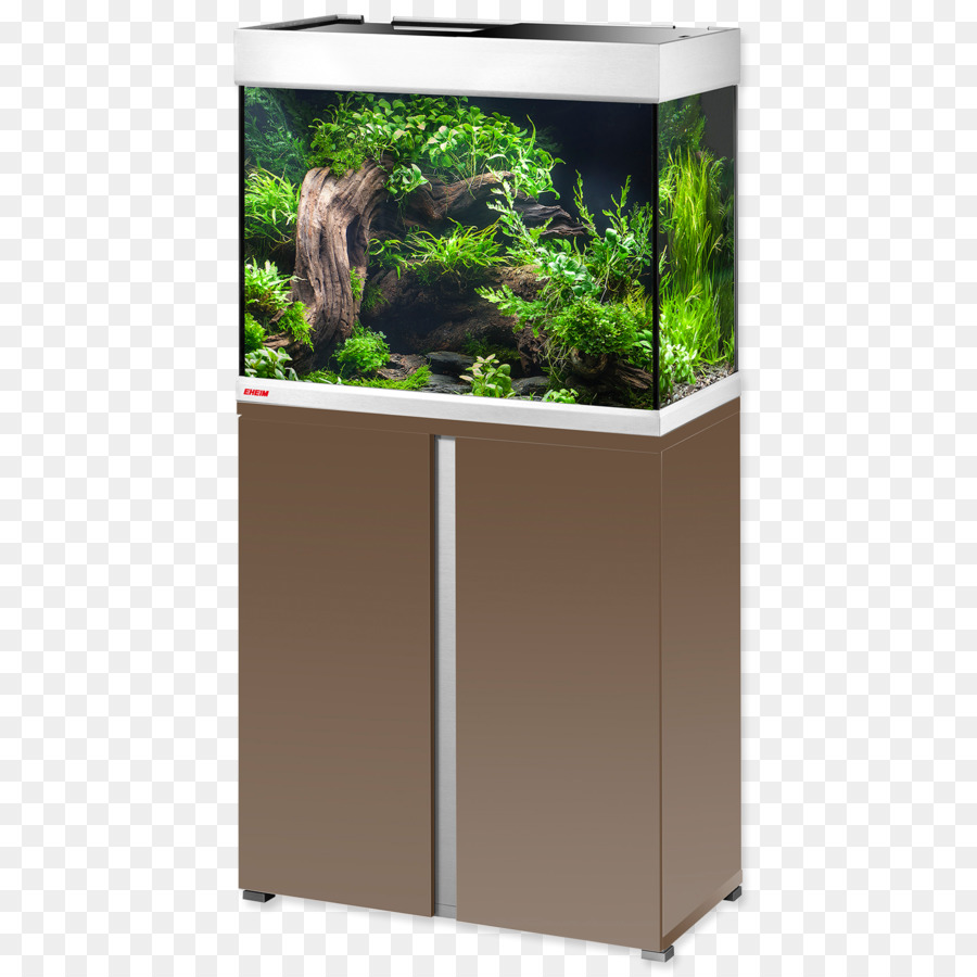 Acuario，Luz PNG