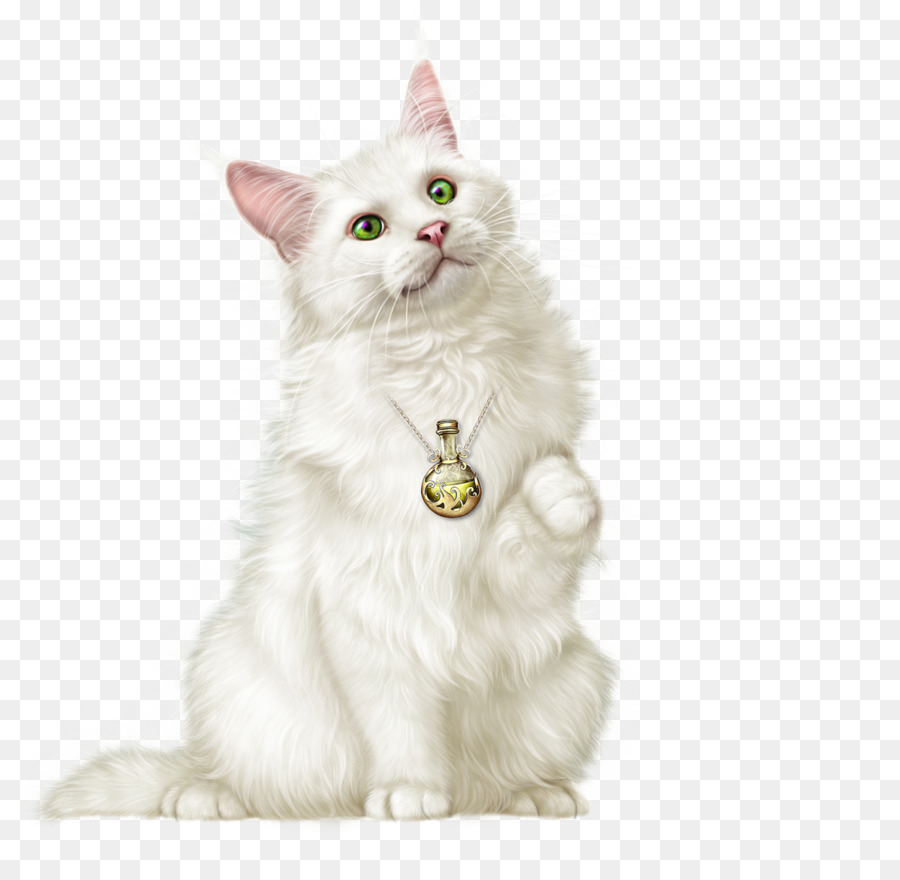 Gatito，Bigotes PNG