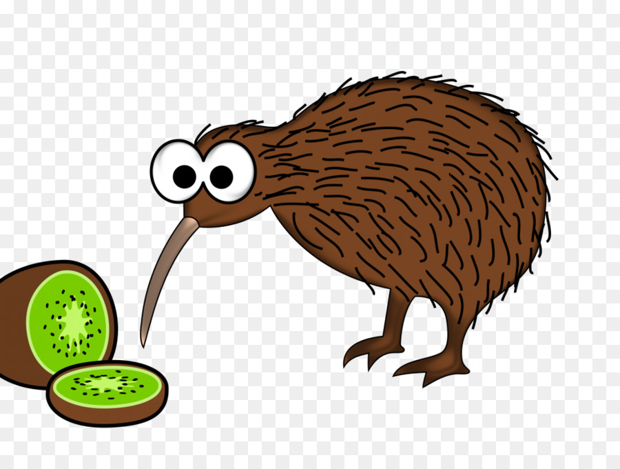 Pájaro Kiwi，Kiwi PNG