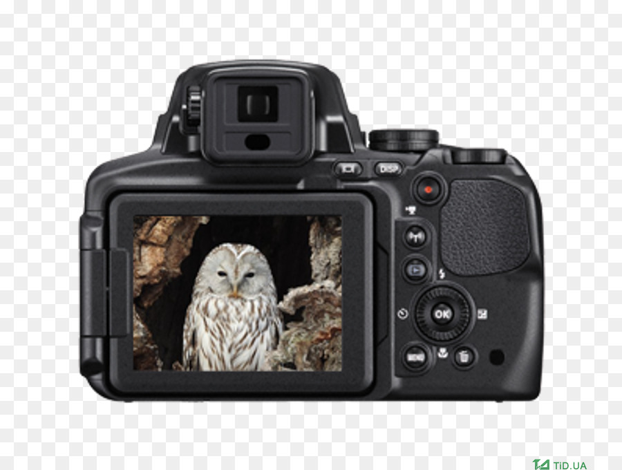 Canon Powershot Sx60 Hs，Cámara Digital Nikon Coolpix P900 Negro PNG