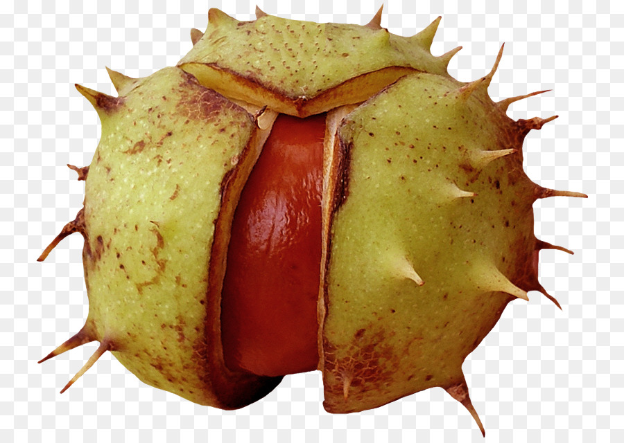 La Fruta，La Comida PNG
