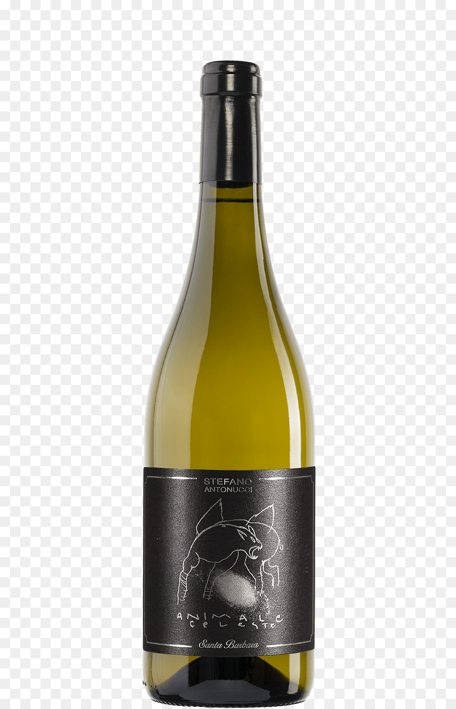 Vino Blanco，Vino PNG