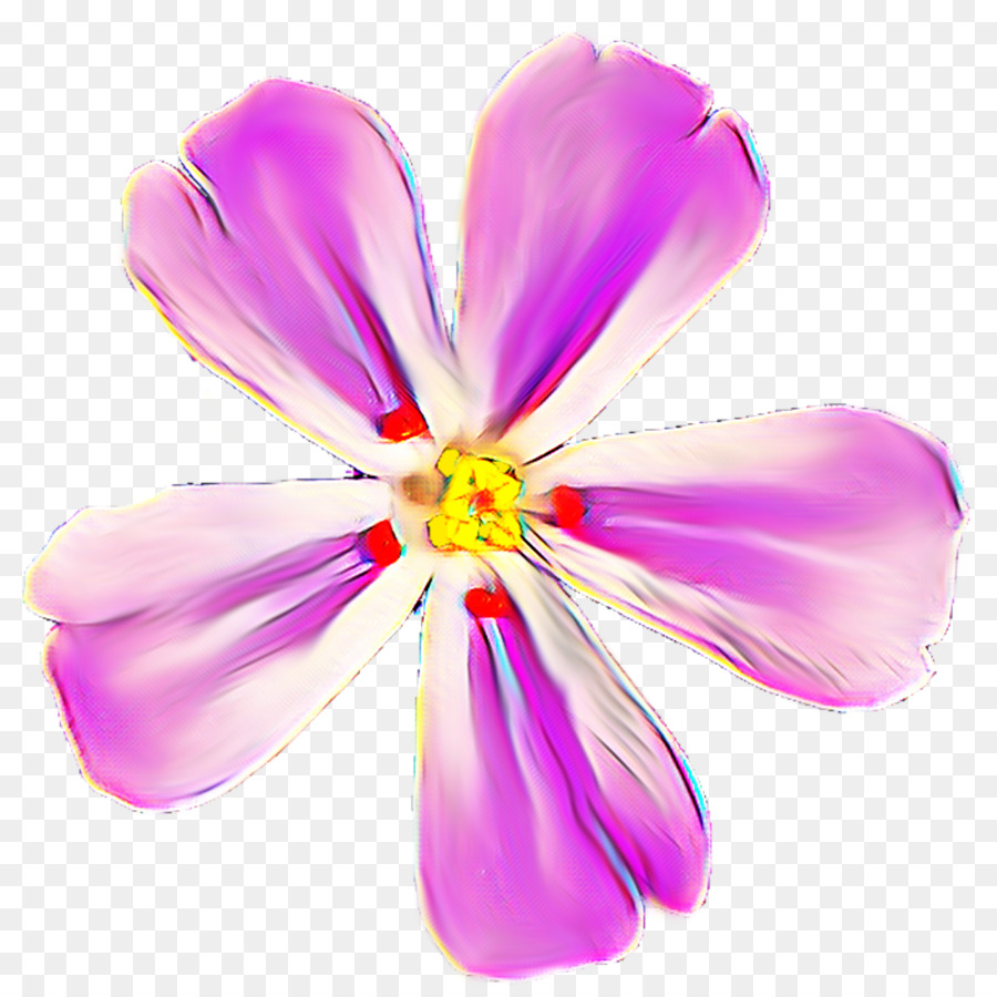 Flores，Florecer PNG