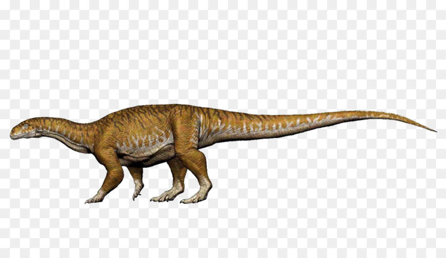 Dinosaurio，Sauropodomorpha PNG