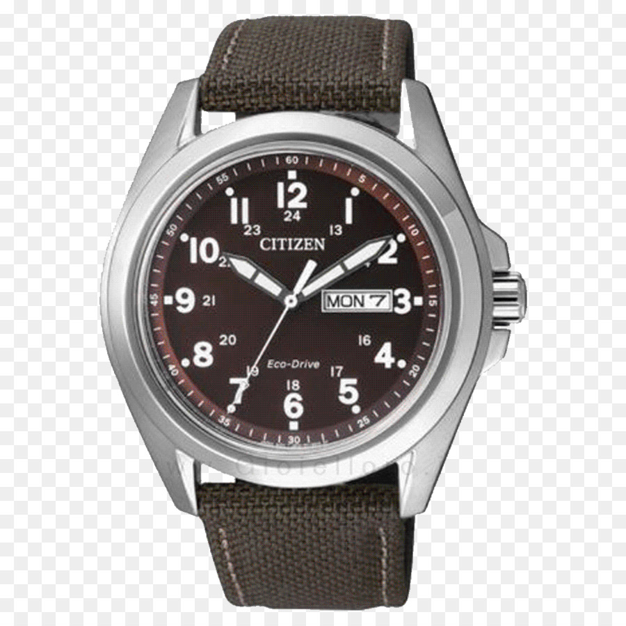 Mirar，Reloj Ciudadano PNG