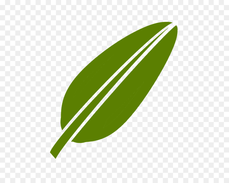 Hoja，Planta PNG