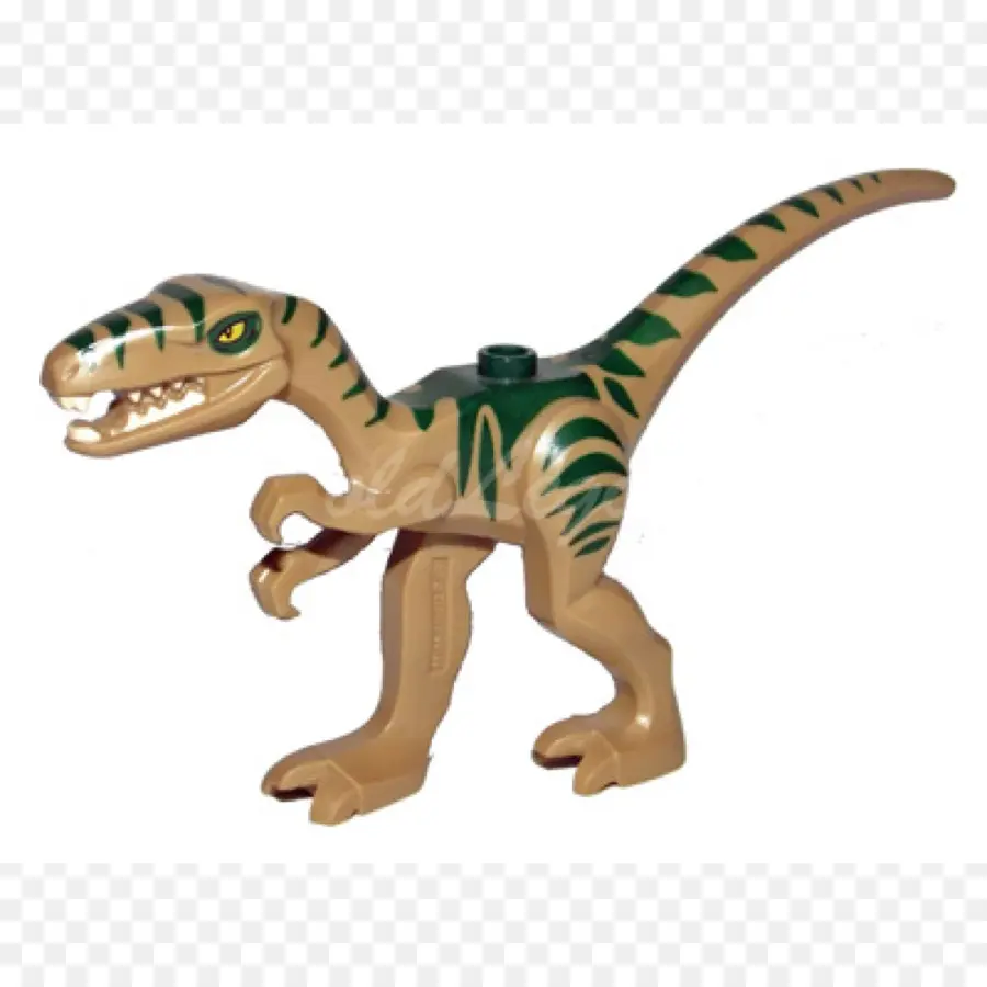 Coelophysis，Lego PNG