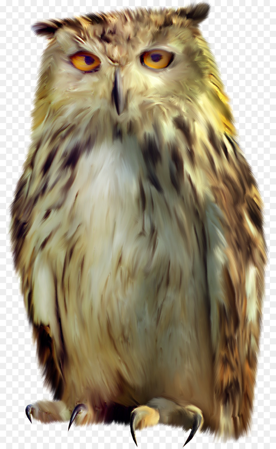 Lechuza，Aves PNG