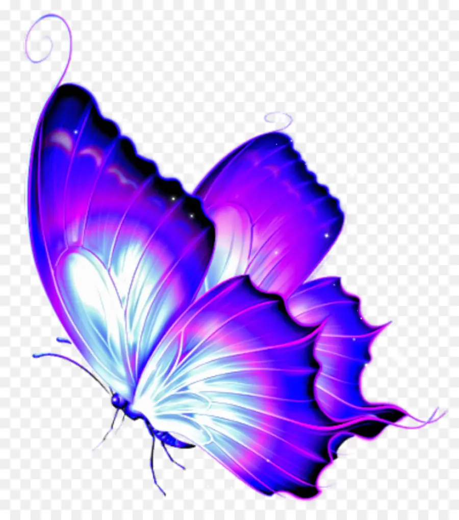 Mariposa，Butterflies Libélicas Una Guía Del Sitio PNG