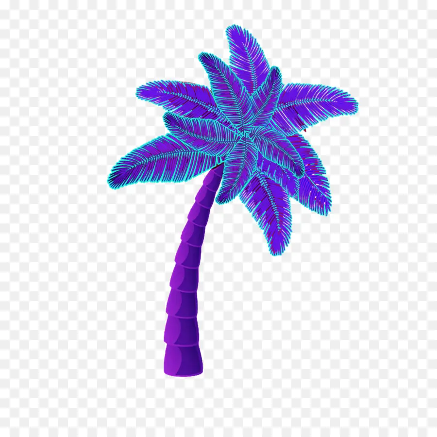 Palmera，Hojas PNG