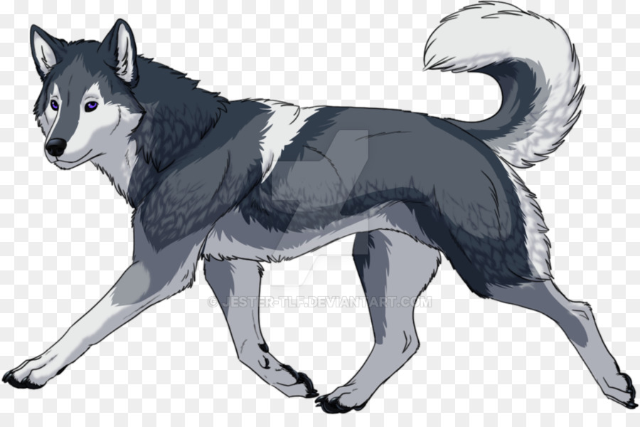 Husky Siberiano，Husky De Sakhal PNG