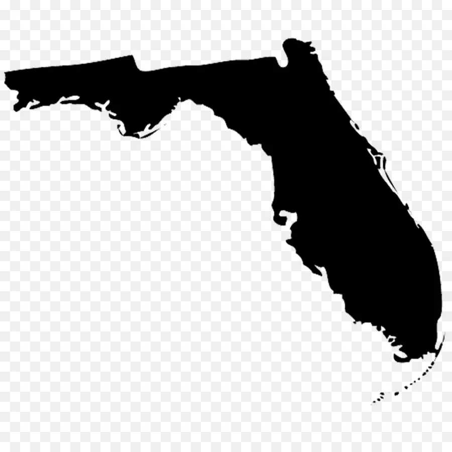 Florida，Estado De Los Estados Unidos PNG