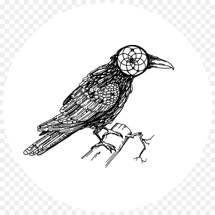 Ilustración De Aves，En Blanco Y Negro PNG