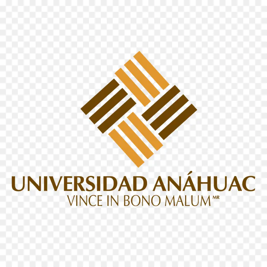 Universidad Anáhuac，Universidad PNG