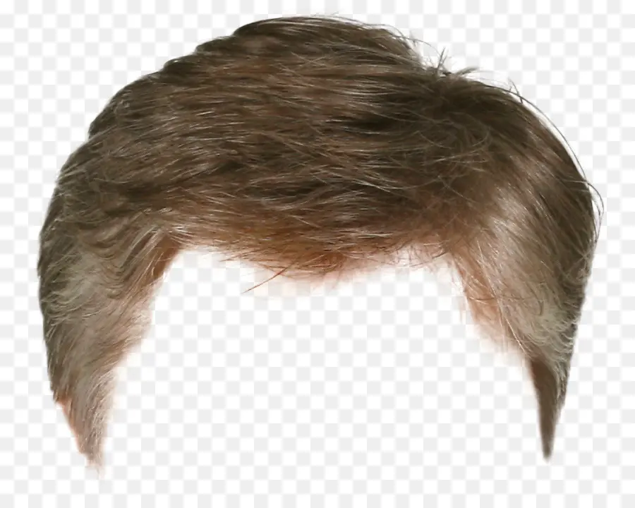 Moño De Pelo，Peinado PNG