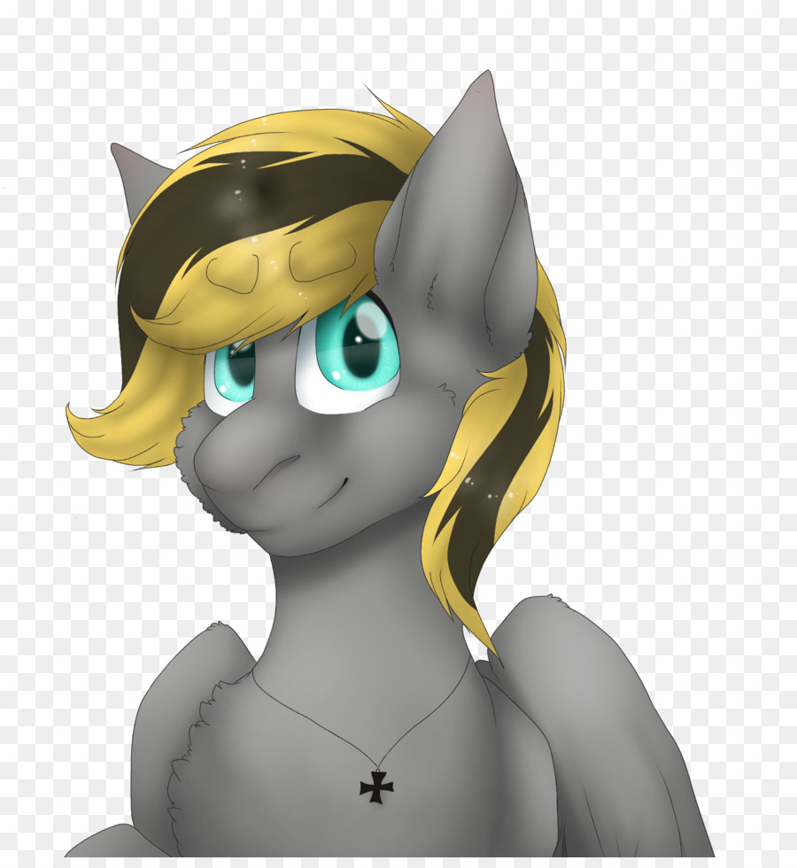 Gato，Caballo PNG