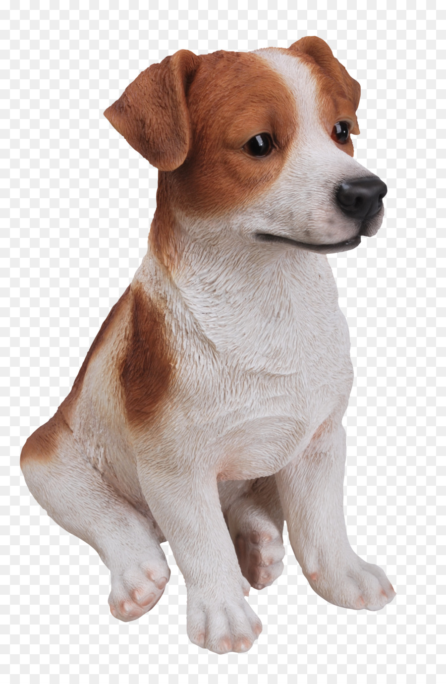 Cachorro Marrón，Perro PNG