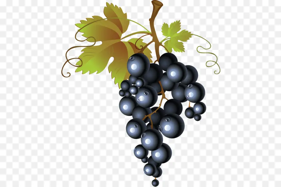 Vine De Uva Común，Vino Tinto PNG