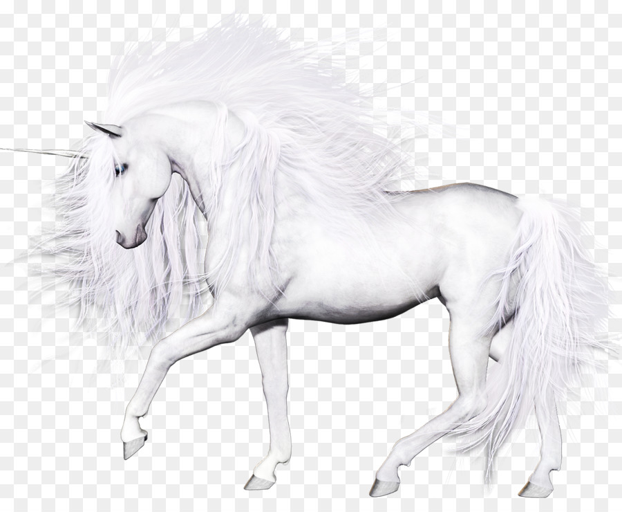 Unicornio Blanco，Fantasía PNG