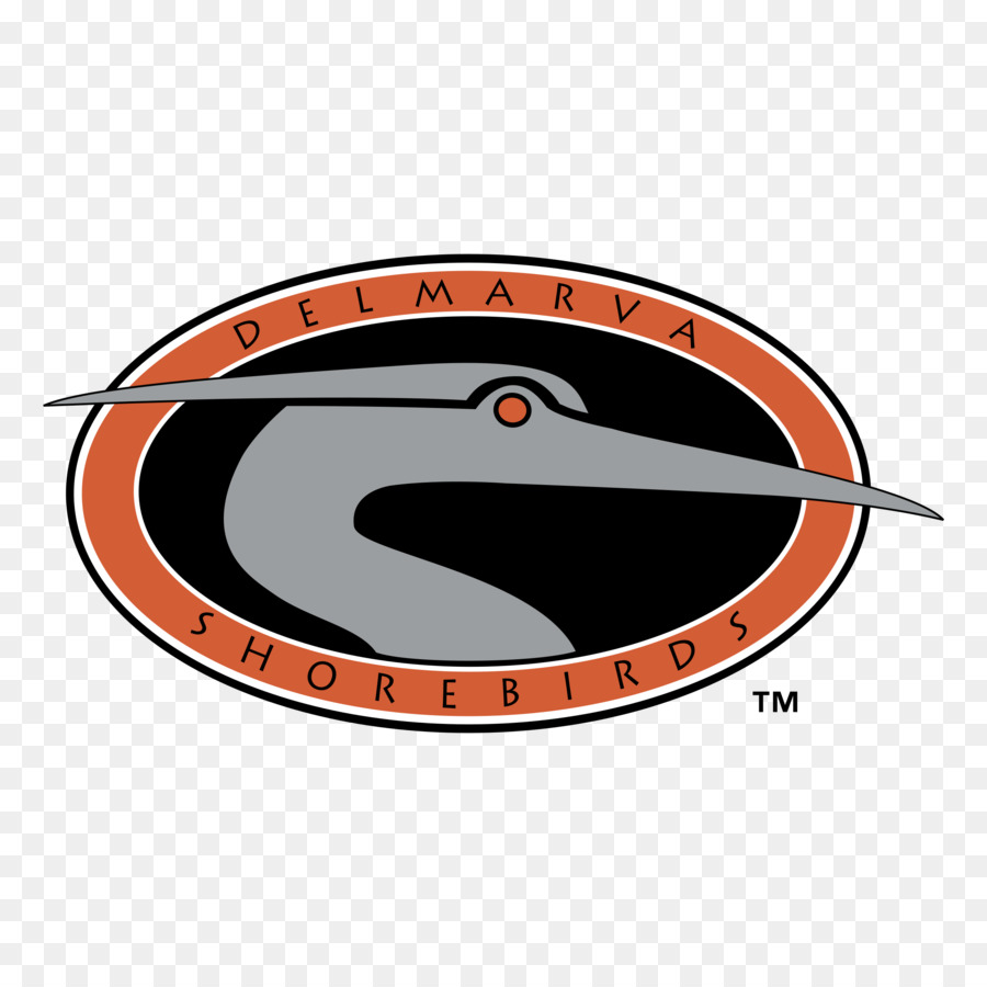 Delmarva Shorebirds，Logo PNG