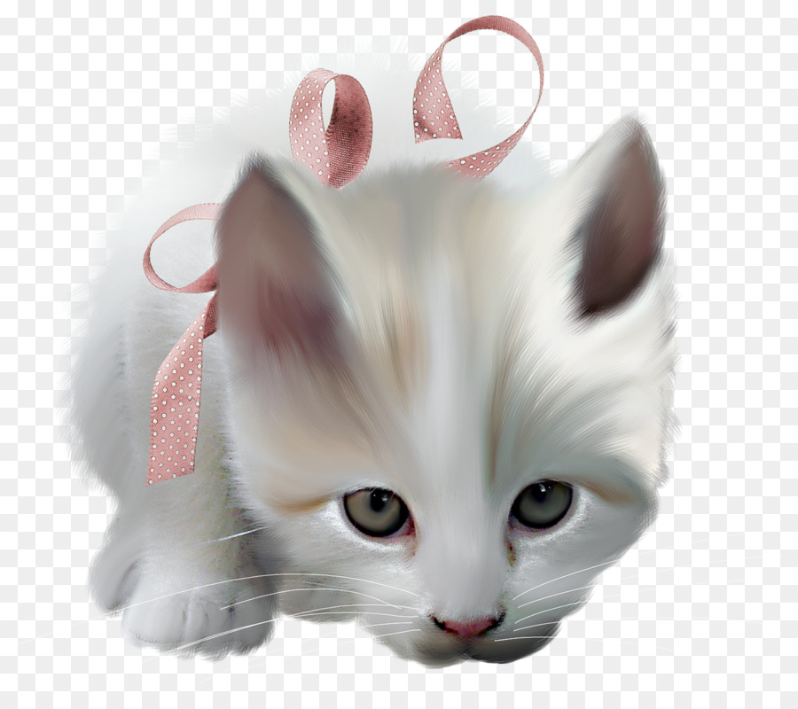 Bigotes，Gatito PNG