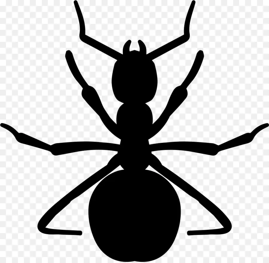 Hormiga，Insecto PNG