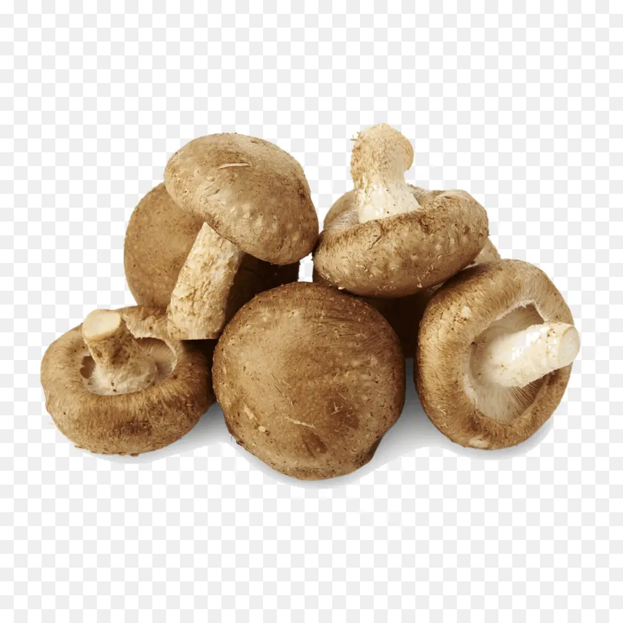 Shiitake，Hongo Común PNG