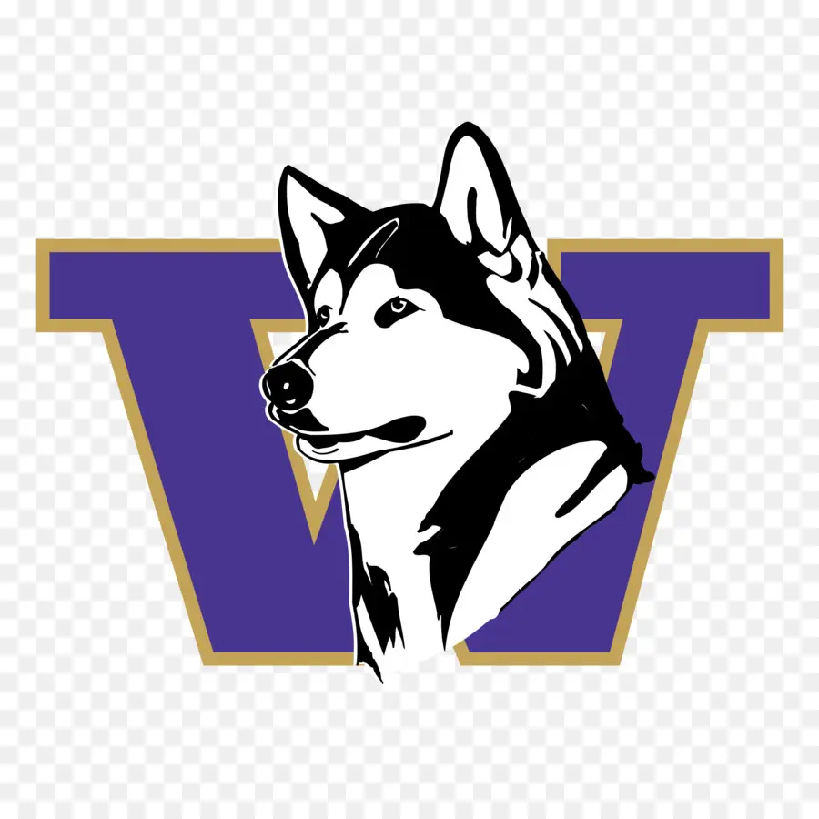 Fútbol De Washington Huskies，Softball De Washington Huskies PNG