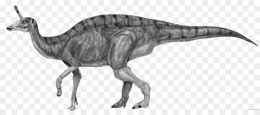 Tsintaosaurio，Iguanodoncia PNG